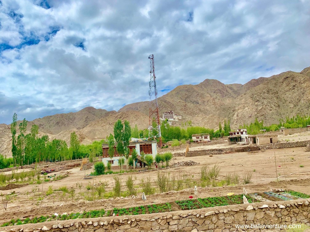 印度 India 北印度North india 喜馬拉雅 Himalayas 拉達克 Ladakh 列城 Leh 印度 India 北印度North india 喜馬拉雅 Himalayas 拉達克 Ladakh 列城 Leh