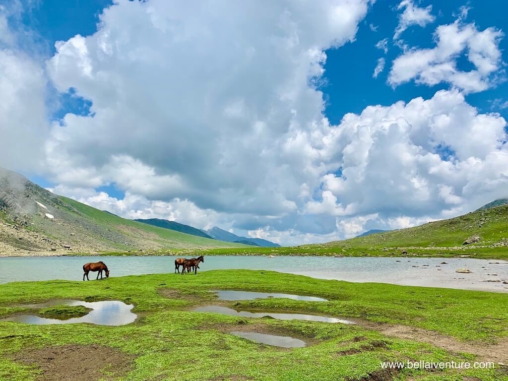印度 India 北北印 North India 喀什米爾 Kashmir 大湖健行 trekking Kashmir Great Lakes Trek 湖泊與馬匹 印度 India 北北印 North India 喀什米爾 Kashmir 大湖健行 trekking Kashmir Great Lakes Trek 湖泊與馬匹