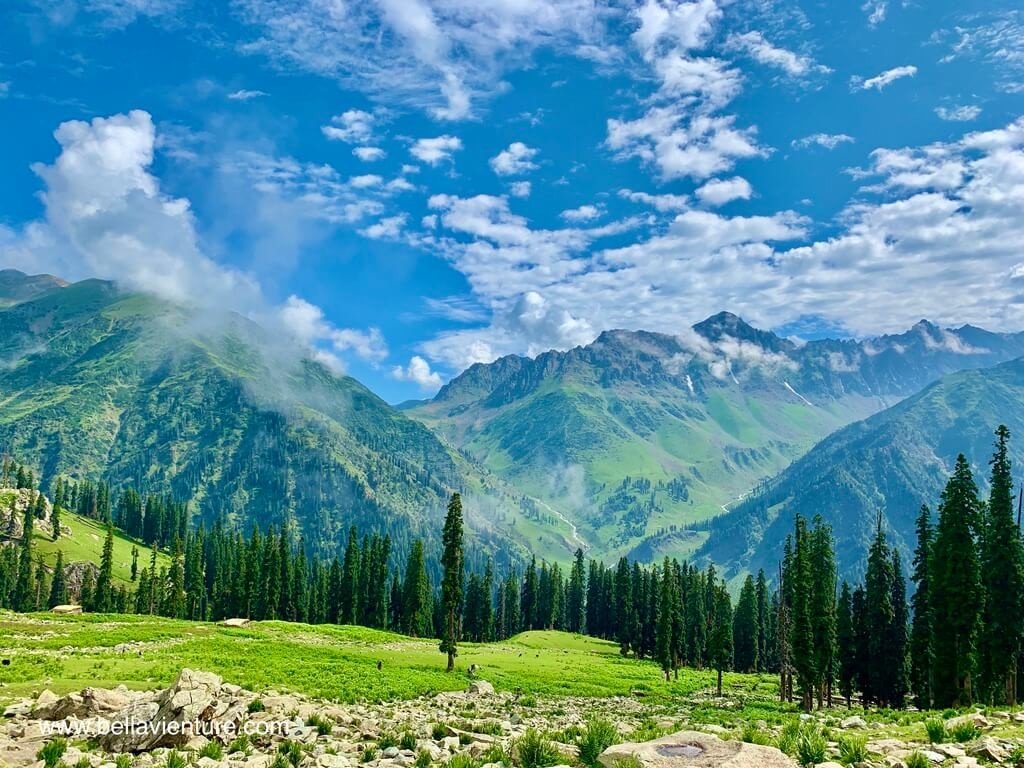 印度 India 喀什米爾 Kashmir 大湖健行 Great lake trekking 靠近平地的樹比較多 印度 India 喀什米爾 Kashmir 大湖健行 Great lake trekking 靠近平地的樹比較多
