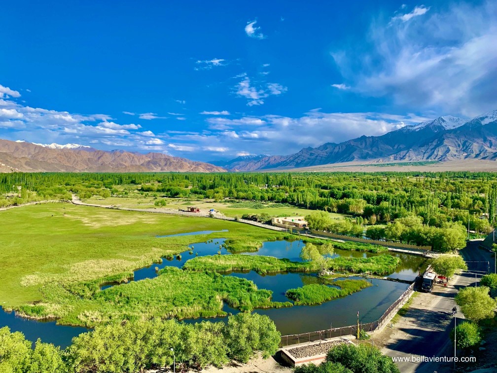 印度 India 北印度North india 喜馬拉雅 Himalayas 拉達克 Ladakh 列城 Leh 東部 上拉達克 Stod(Upper Ladakh) 卓蘭沙 Choglamsar 雪依寺 Shey Gompa 印度 India 北印度North india 喜馬拉雅 Himalayas 拉達克 Ladakh 列城 Leh 東部 上拉達克 Stod(Upper Ladakh) 卓蘭沙 Choglamsar 雪依寺 Shey Gompa