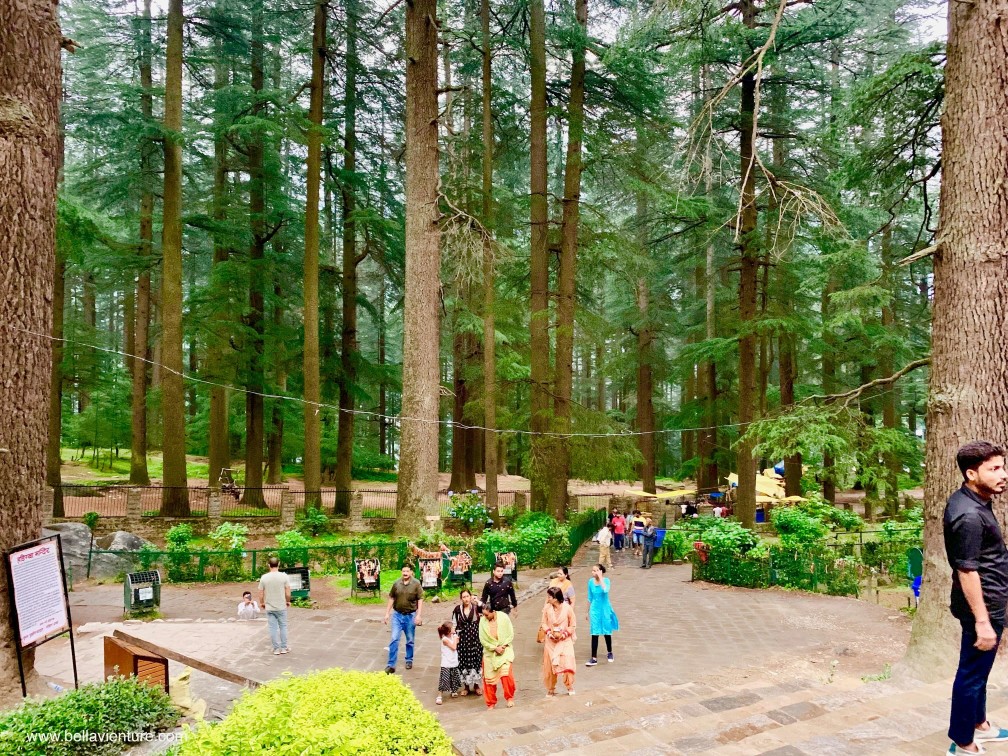 印度 India 馬納利 Manali 喜馬拉雅山 Mountain himalaya 舊馬納利 Old Manali 哈丁巴寺 Hadimba Temple 印度 India 馬納利 Manali 喜馬拉雅山 Mountain himalaya 舊馬納利 Old Manali 哈丁巴寺 Hadimba Temple