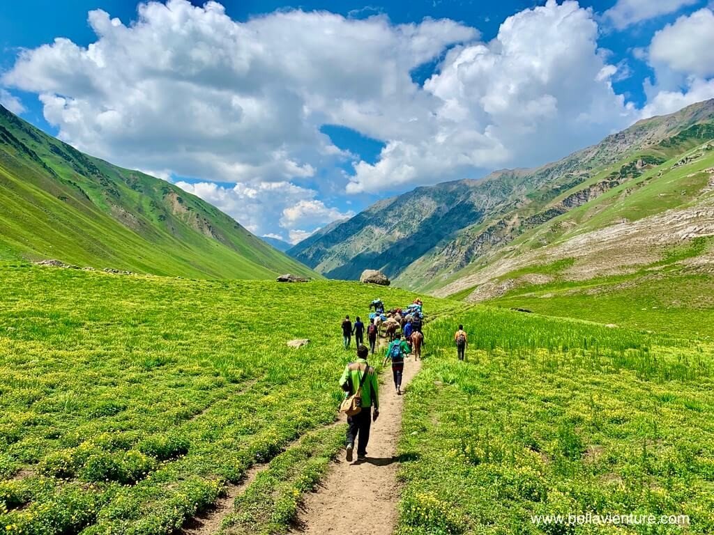 印度India 北北印 North India 喀什米爾 Kashmir 大湖健行 trekking 黃花群 印度India 北北印 North India 喀什米爾 Kashmir 大湖健行 trekking 黃花群