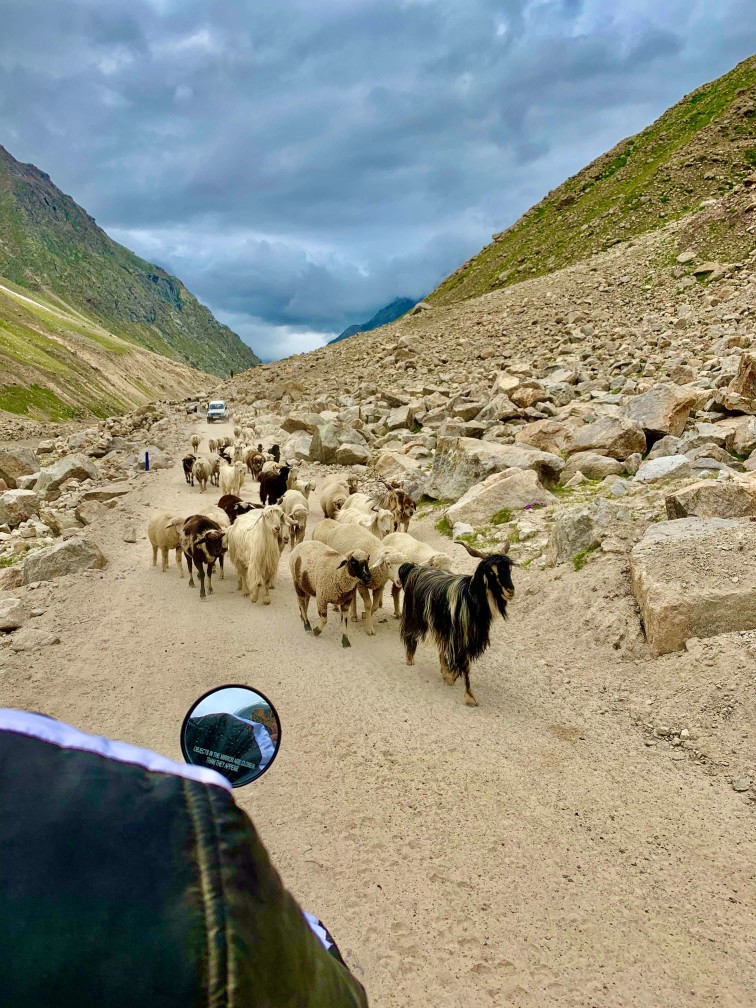 印度 India 北印度North india 馬納利 Manali 喜馬拉雅 Himalayas 斯碧提山谷 Spiti valley 公路旅行 road trip 印度 India 北印度North india 馬納利 Manali 喜馬拉雅 Himalayas 斯碧提山谷 Spiti valley 公路旅行 road trip