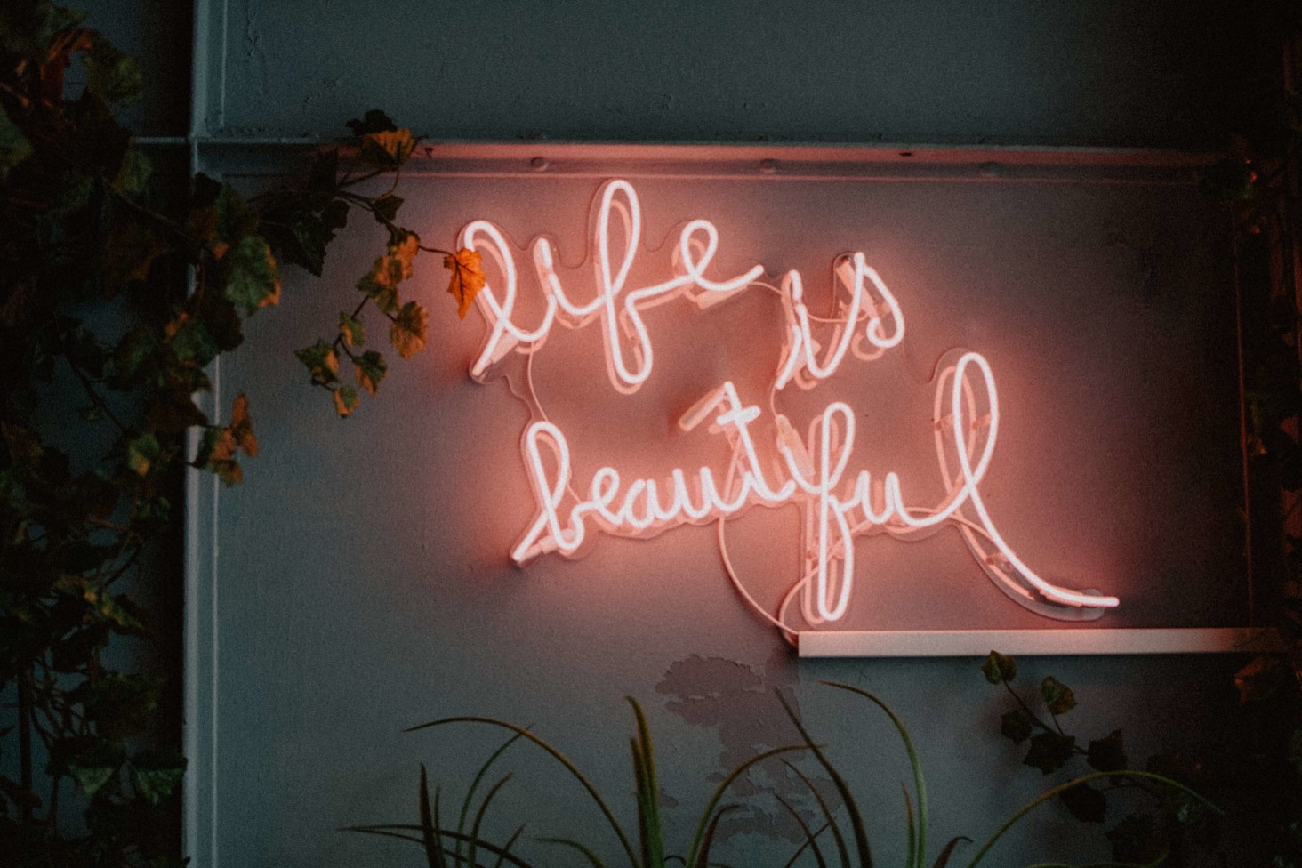 life is beautiful life is beautiful