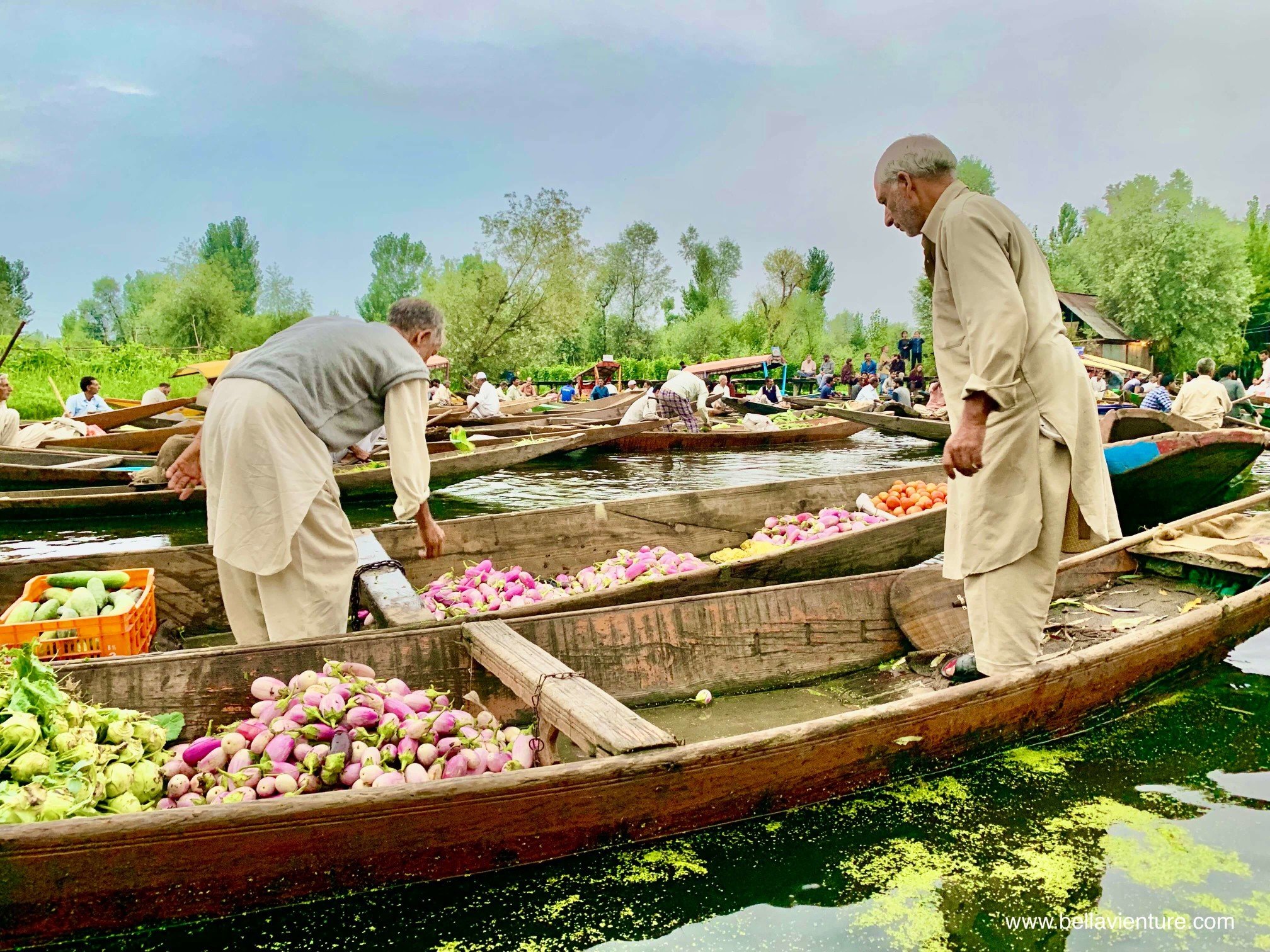 北北印 印度 India 喀什米爾 Kashmir 水上市集 Floating market 蔬果 互買 北北印 印度 India 喀什米爾 Kashmir 水上市集 Floating market 蔬果 互買