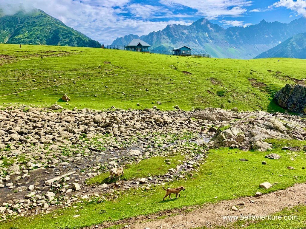 印度 India 喀什米爾 Kashmir 大湖健行 Great lake trekking 河谷與狗 印度 India 喀什米爾 Kashmir 大湖健行 Great lake trekking 河谷與狗