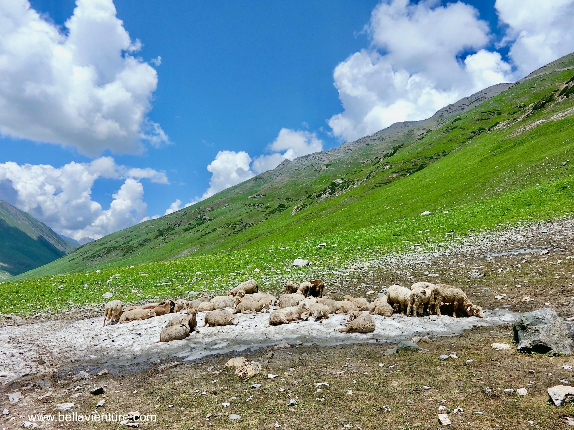 印度India 北北印 North India 喀什米爾 Kashmir 大湖健行 trekking 牧羊群 冰河 印度India 北北印 North India 喀什米爾 Kashmir 大湖健行 trekking 牧羊群 冰河