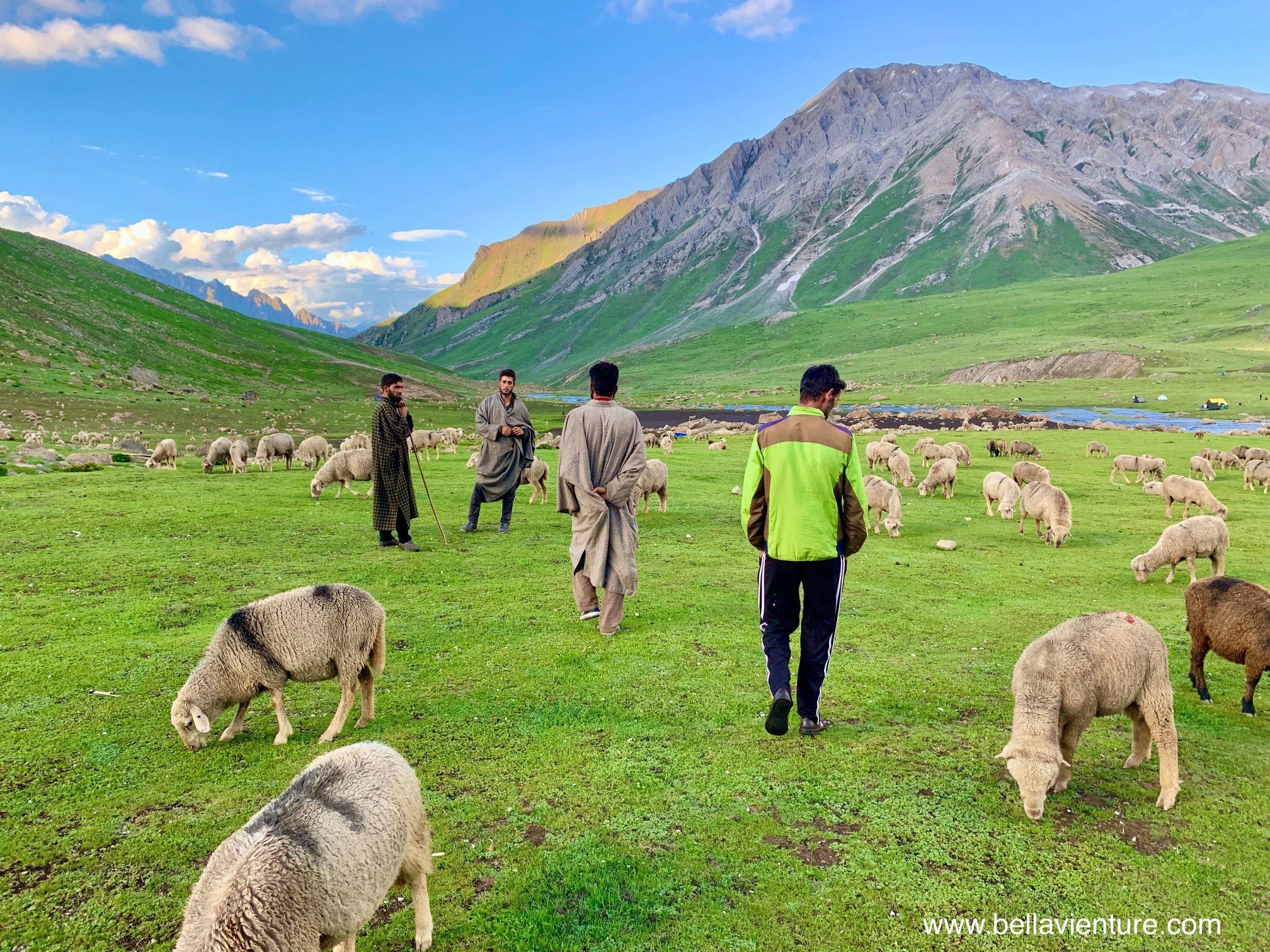 印度 India 北北印 North India 喀什米爾 Kashmir 八天七夜 健行 Nichnai Valley 牧羊人與羊群 印度 India 北北印 North India 喀什米爾 Kashmir 八天七夜 健行 Nichnai Valley 牧羊人與羊群