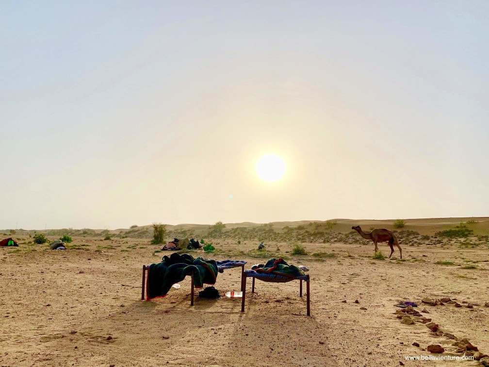 印度 india 賈莎梅爾 jaisalmer 沙漠 desert 駱駝 camel safari 日出 sunrise 印度 india 賈莎梅爾 jaisalmer 沙漠 desert 駱駝 camel safari 日出 sunrise
