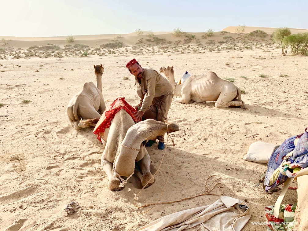印度 india 賈莎梅爾 jaisalmer 沙漠 desert 駱駝 camel safari 日出 sunrise 印度 india 賈莎梅爾 jaisalmer 沙漠 desert 駱駝 camel safari 日出 sunrise