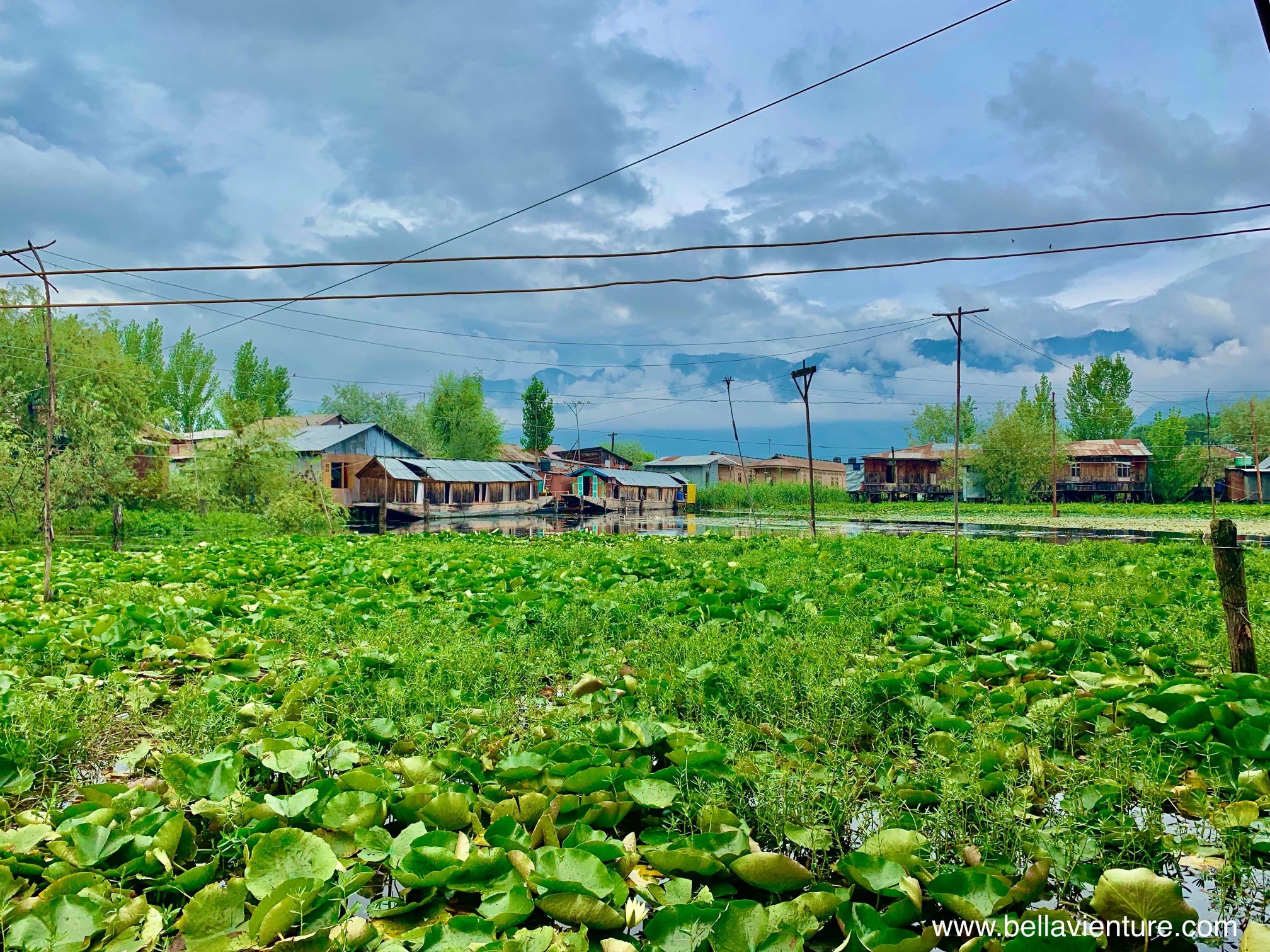 印度 India 北印度North india 喜馬拉雅 Himalayas 喀什米爾 Kashmir 船屋 boathouse 印度 India 北印度North india 喜馬拉雅 Himalayas 喀什米爾 Kashmir 船屋 boathouse