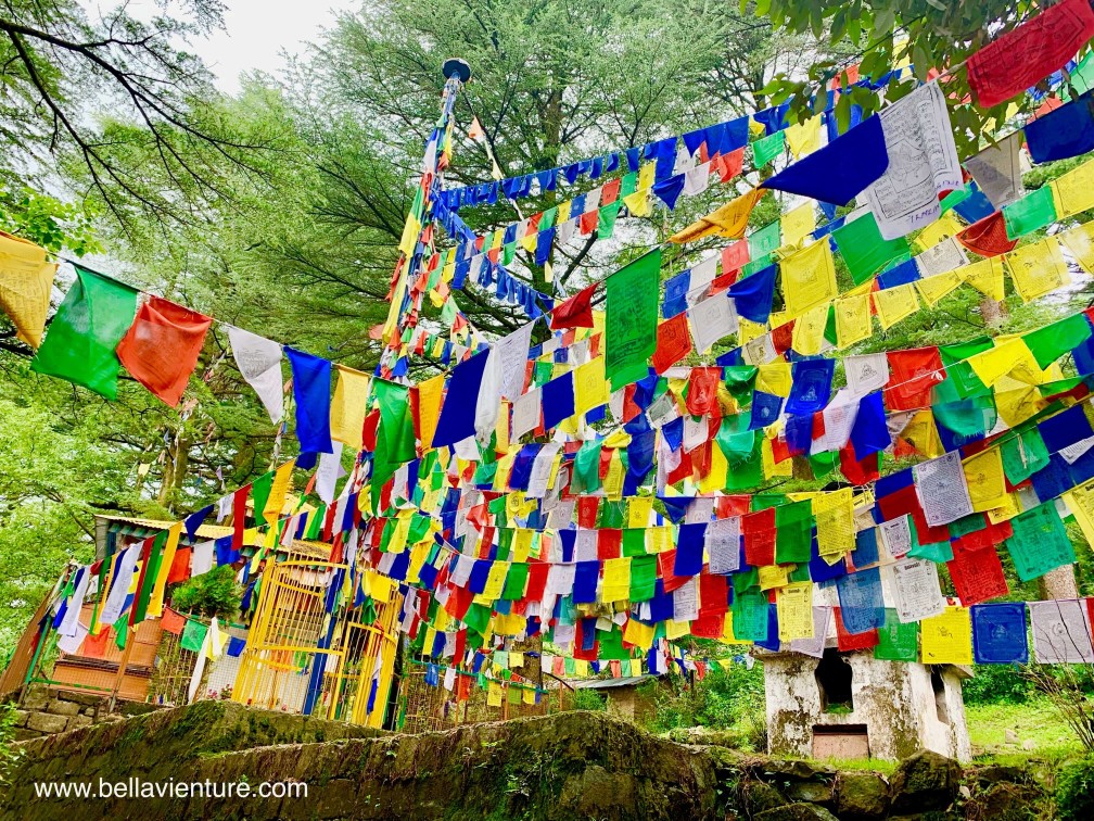 印度India 達蘭薩拉 Dharamshala 北印度 North India country side 印度India 達蘭薩拉 Dharamshala 北印度 North India country side
