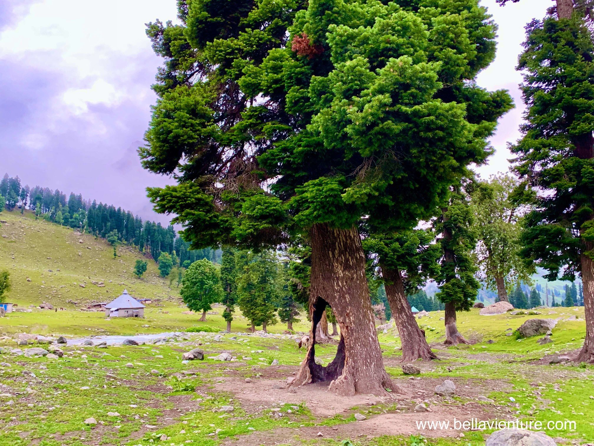 印度 India 北北印 North India 喀什米爾 Kashmir 七大湖健行 Kashmir Great Lakes Trek/ Budget trek Sonamarg great nature 印度 India 北北印 North India 喀什米爾 Kashmir 七大湖健行 Kashmir Great Lakes Trek/ Budget trek Sonamarg great nature