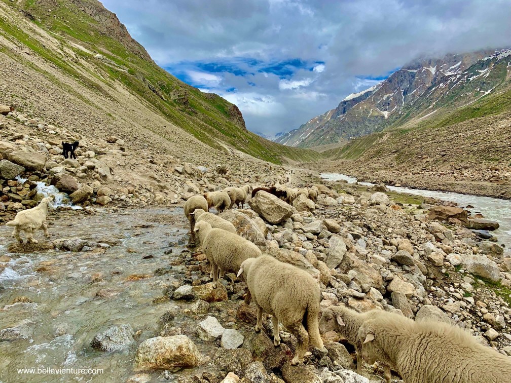 印度 India 北印度North india 馬納利 Manali 喜馬拉雅 Himalayas 斯碧提山谷 Spiti valley 公路旅行 road trip 印度 India 北印度North india 馬納利 Manali 喜馬拉雅 Himalayas 斯碧提山谷 Spiti valley 公路旅行 road trip