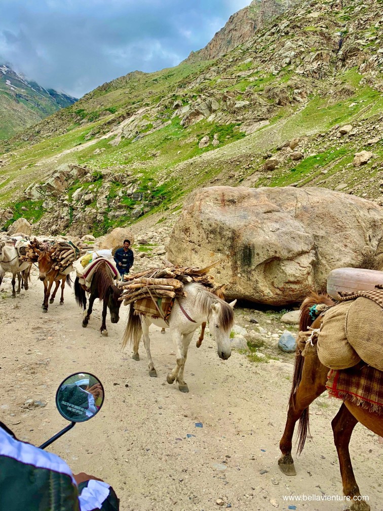印度 India 北印度North india 馬納利 Manali 喜馬拉雅 Himalayas 斯碧提山谷 Spiti valley 公路旅行 road trip 印度 India 北印度North india 馬納利 Manali 喜馬拉雅 Himalayas 斯碧提山谷 Spiti valley 公路旅行 road trip