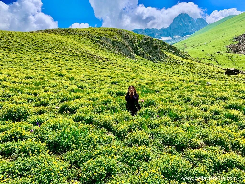 印度India 北北印 North India 喀什米爾 Kashmir 大湖健行 trekking 黃花群 印度India 北北印 North India 喀什米爾 Kashmir 大湖健行 trekking 黃花群