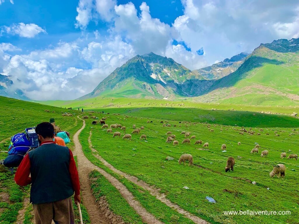 印度 India 北北印 North India 喀什米爾 Kashmir 大湖健行 trekking Kashmir Great Lakes Trek 牧羊人 廚師 印度 India 北北印 North India 喀什米爾 Kashmir 大湖健行 trekking Kashmir Great Lakes Trek 牧羊人 廚師