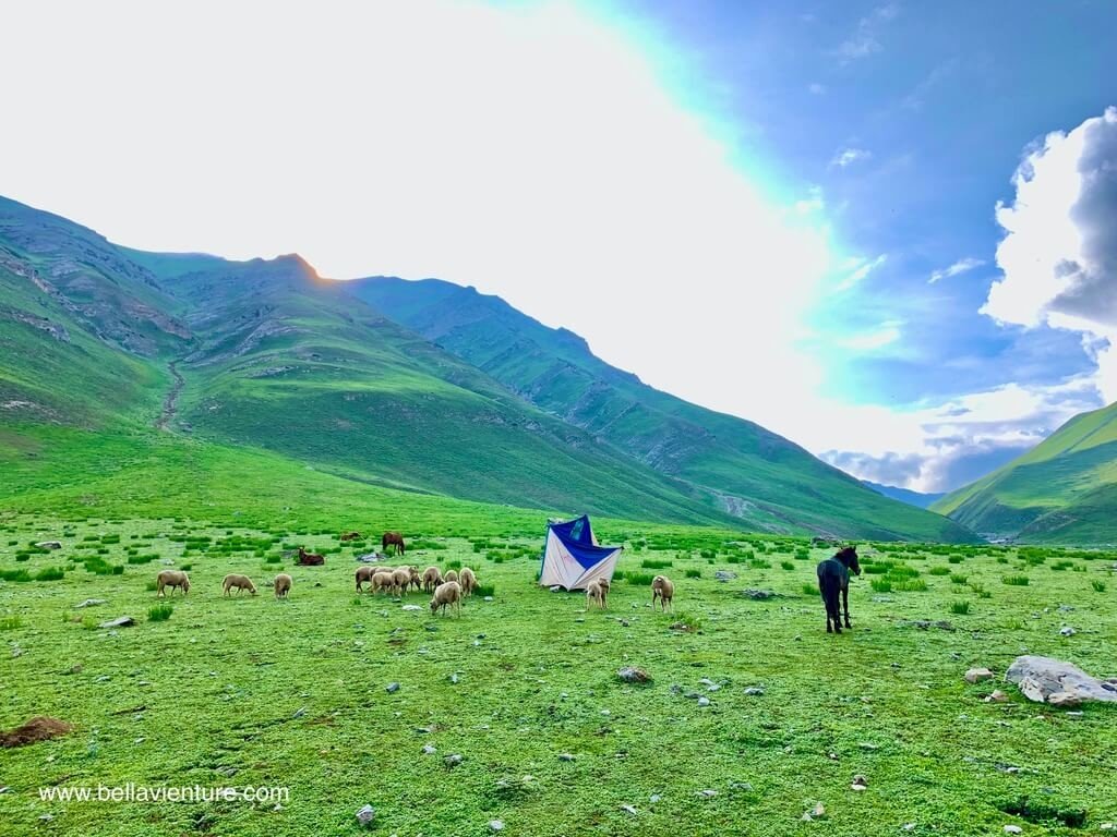 印度 India 北北印 North India 喀什米爾 Kashmir 大湖健行 trekking Kashmir Great Lakes Trek 清晨起床 印度 India 北北印 North India 喀什米爾 Kashmir 大湖健行 trekking Kashmir Great Lakes Trek 清晨起床