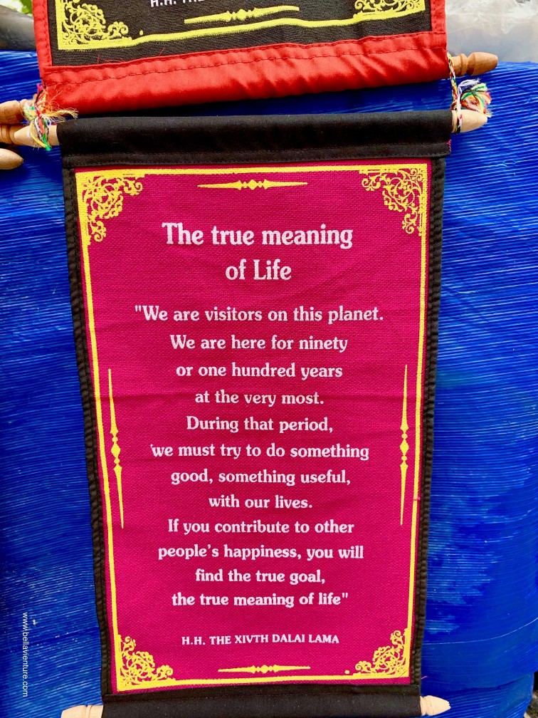 印度india 達蘭薩拉 dharamshala true meaning of life 印度india 達蘭薩拉 dharamshala true meaning of life