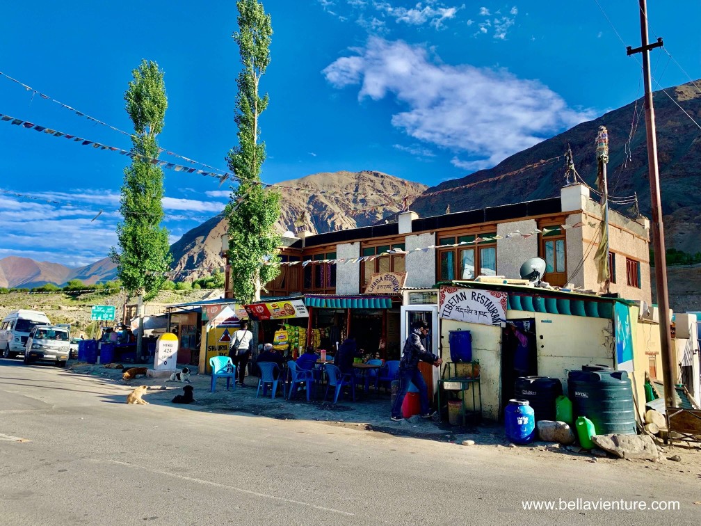 印度 India 北印度North india 喜馬拉雅 Himalayas 拉達克 Ladakh 列城 Leh 印度 India 北印度North india 喜馬拉雅 Himalayas 拉達克 Ladakh 列城 Leh