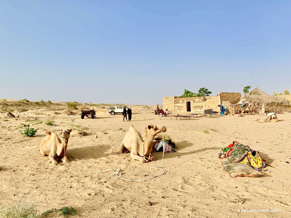 印度 india 賈莎梅爾 jaisalmer 沙漠 desert 駱駝 camel safari 日出 sunrise 印度 india 賈莎梅爾 jaisalmer 沙漠 desert 駱駝 camel safari 日出 sunrise
