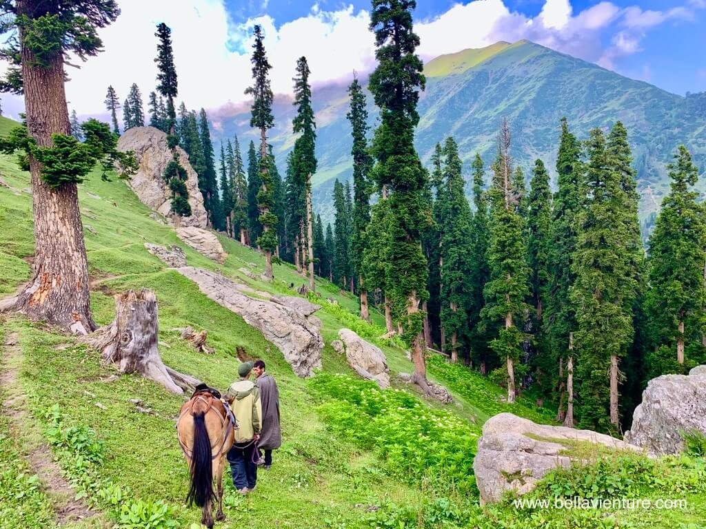 印度 india 喀什米爾 kashmir 大湖健行big lake treakking 前往取枯枝 印度 india 喀什米爾 kashmir 大湖健行big lake treakking 前往取枯枝