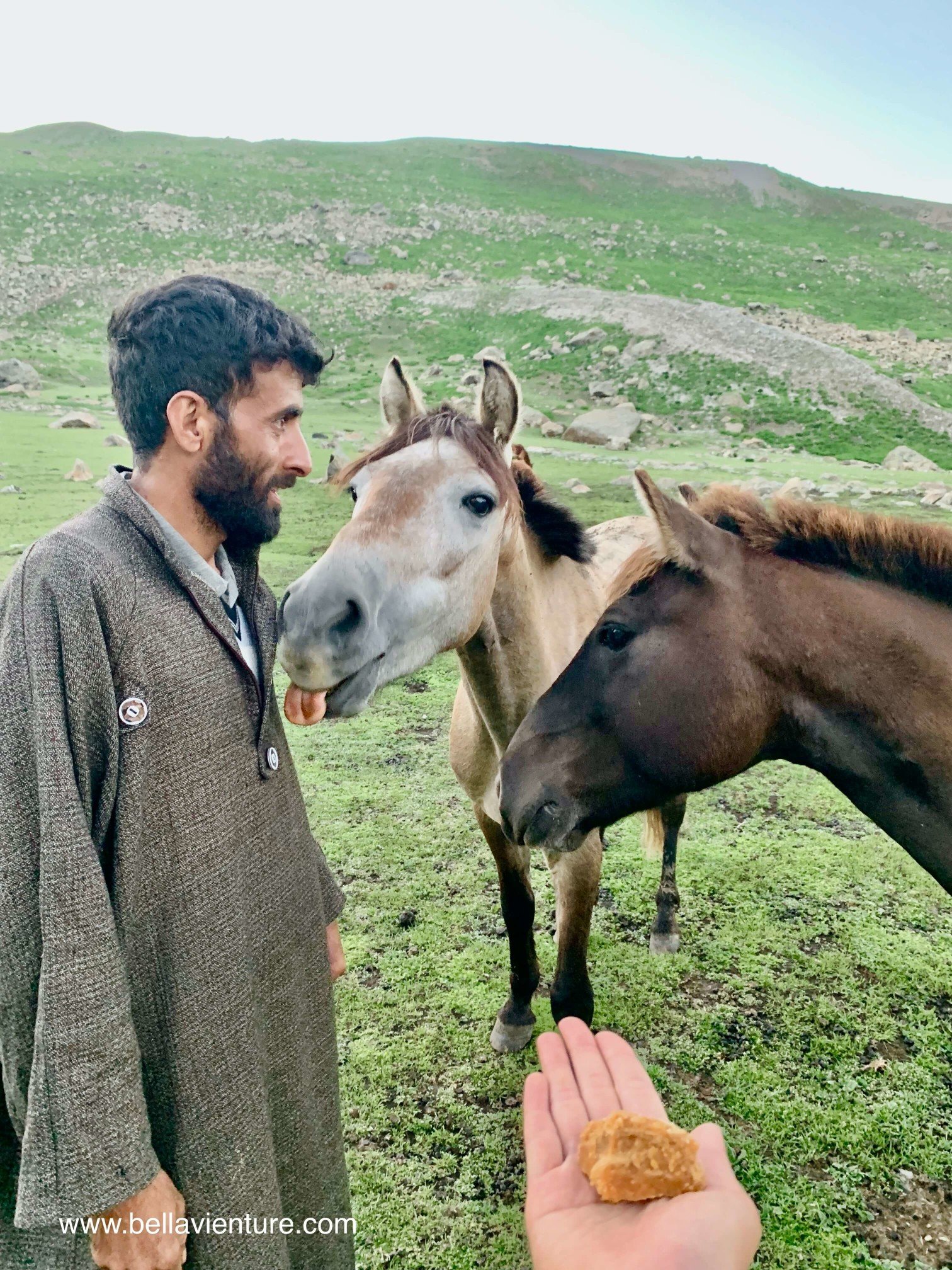 印度 India 北北印 North India 喀什米爾 Kashmir 八天七夜 健行 Nichnai Valley 馬夫與馬愛的互動 印度 India 北北印 North India 喀什米爾 Kashmir 八天七夜 健行 Nichnai Valley 馬夫與馬愛的互動