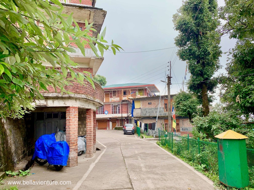 印度India 達蘭薩拉 Dharamshala 北印度 North India country side TCV School 印度India 達蘭薩拉 Dharamshala 北印度 North India country side TCV School