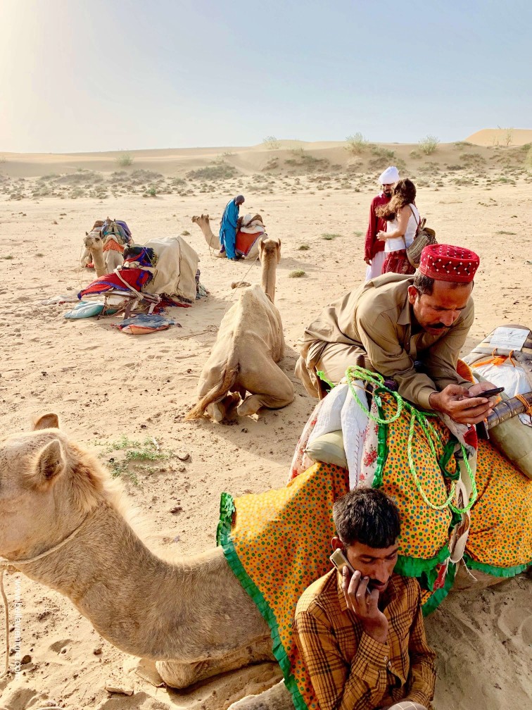 印度 india 賈莎梅爾 jaisalmer 沙漠 desert 駱駝 camel safari 日出 sunrise 印度 india 賈莎梅爾 jaisalmer 沙漠 desert 駱駝 camel safari 日出 sunrise