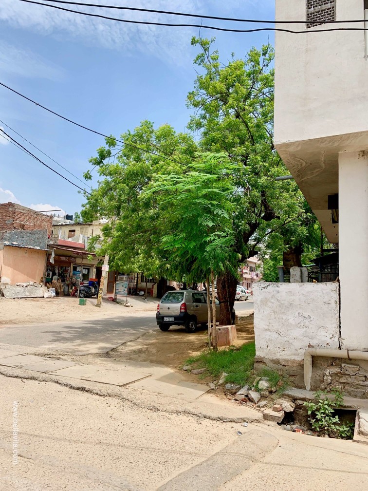 印度 india 齋浦爾 jaipur saksham NGO 印度 india 齋浦爾 jaipur saksham NGO