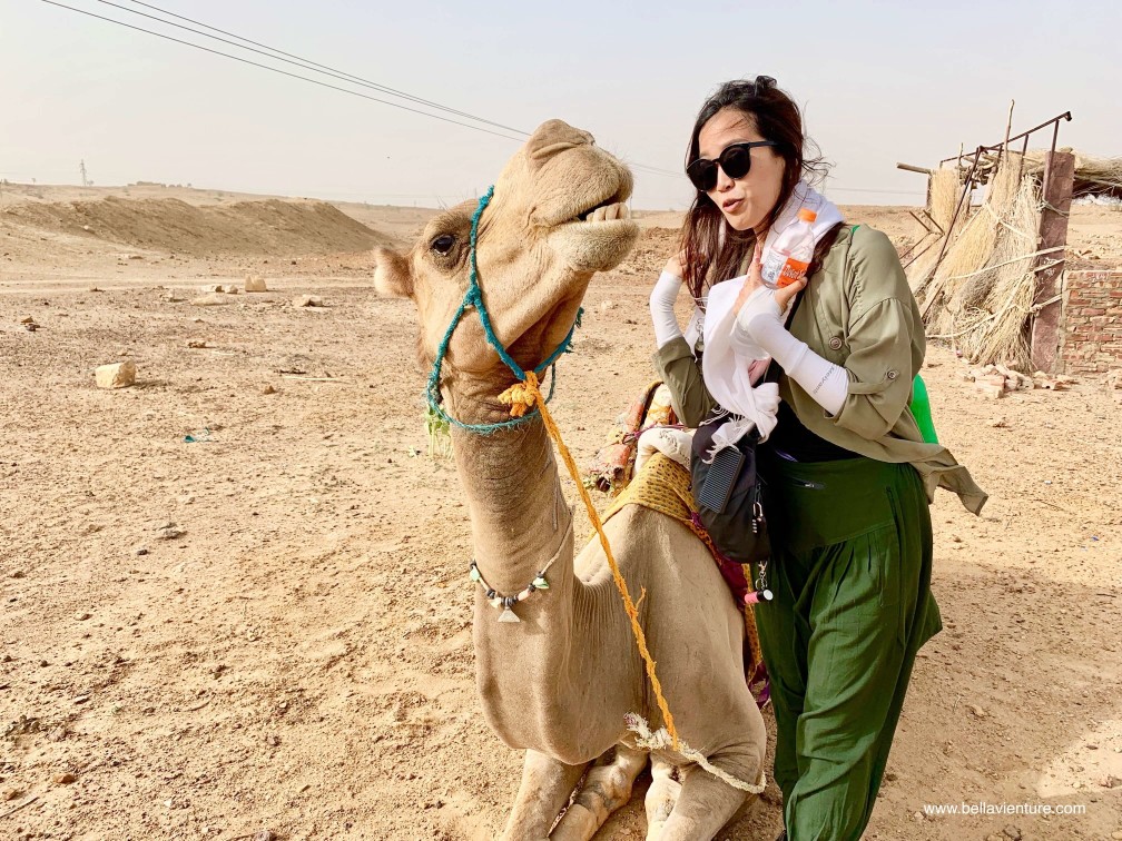 印度 india 賈莎梅爾 jaisalmer 東京宮殿 tokyo palace 沙漠駱駝行 camel safari 印度 india 賈莎梅爾 jaisalmer 東京宮殿 tokyo palace 沙漠駱駝行 camel safari