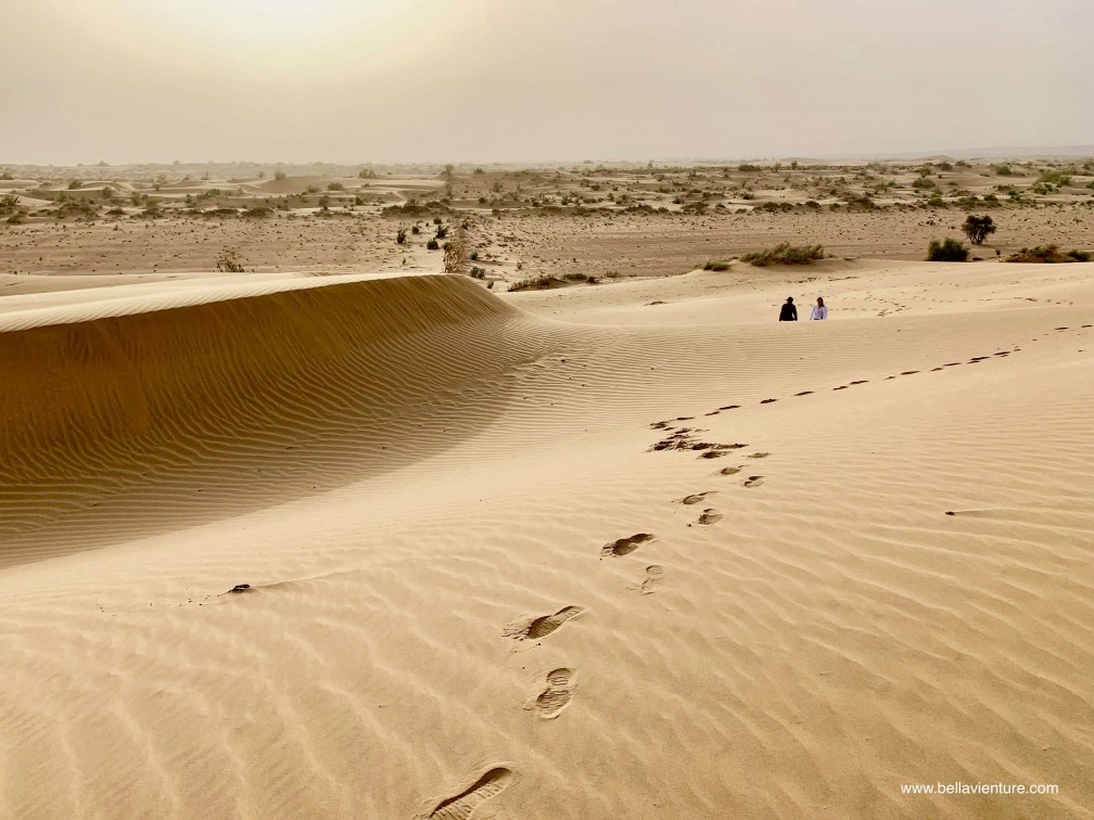印度 india 賈莎梅爾 jaisalmer 東京宮殿 tokyo palace 沙漠駱駝行 camel safari 印度 india 賈莎梅爾 jaisalmer 東京宮殿 tokyo palace 沙漠駱駝行 camel safari