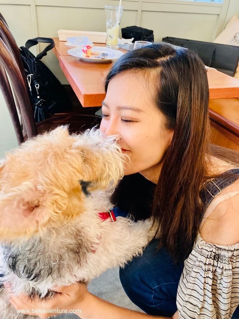 中山區美食 甜點 義大利麵 la vie bon bon 英國剛毛獵狐梗 草莓 メイちゃん 中山區美食 甜點 義大利麵 la vie bon bon 英國剛毛獵狐梗 草莓 メイちゃん