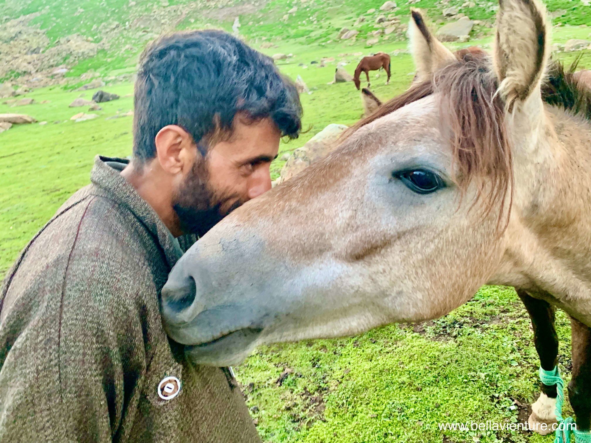 印度 India 北北印 North India 喀什米爾 Kashmir 八天七夜 健行 Nichnai Valley 馬夫與馬兒的情誼 印度 India 北北印 North India 喀什米爾 Kashmir 八天七夜 健行 Nichnai Valley 馬夫與馬兒的情誼