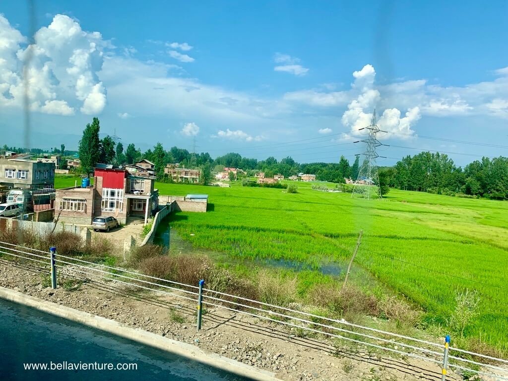 印度 india 喀什米爾 kashmir 斯里納加 srinagar 封城 lockdown 印度 india 喀什米爾 kashmir 斯里納加 srinagar 封城 lockdown