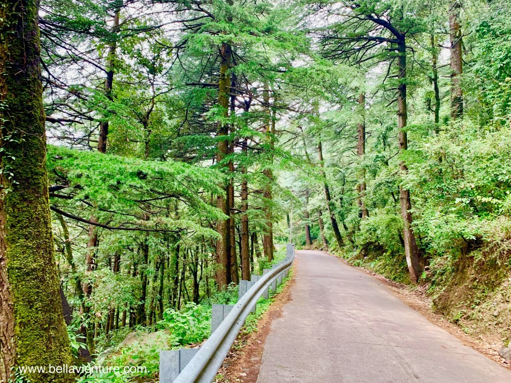 印度India 達蘭薩拉 Dharamshala 北印度 North India country side 印度India 達蘭薩拉 Dharamshala 北印度 North India country side