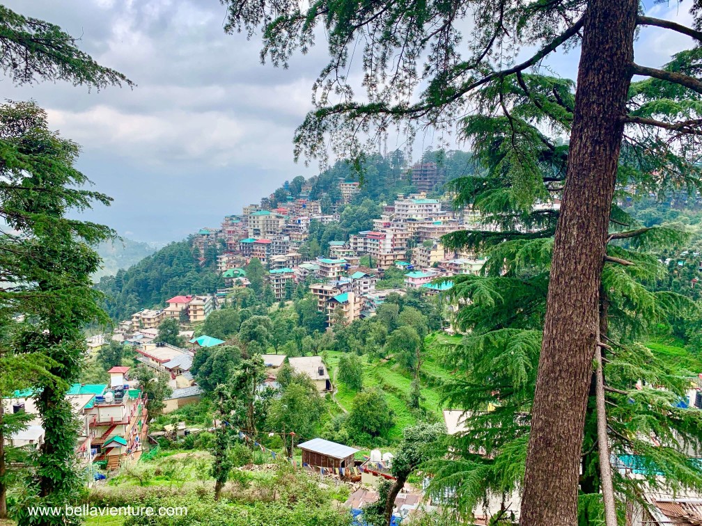 印度India 達蘭薩拉 Dharamshala 北印度 North India country side 印度India 達蘭薩拉 Dharamshala 北印度 North India country side