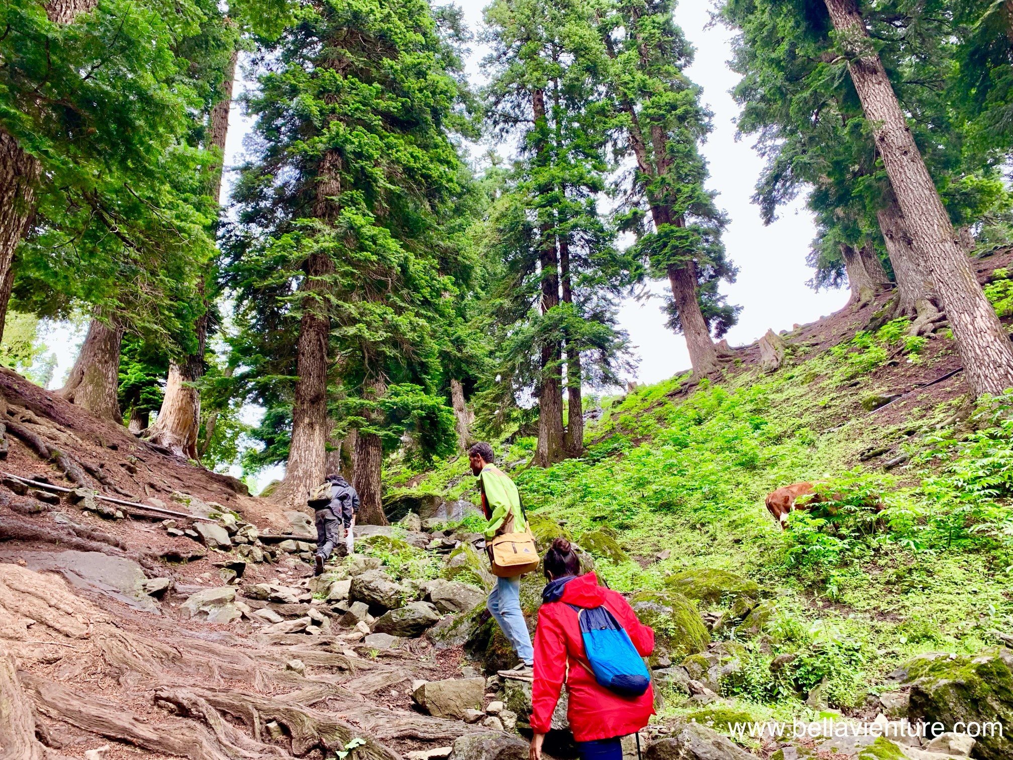 印度 India 北北印 North India 喀什米爾 Kashmir 七大湖健行 Kashmir Great Lakes Trek/ Budget trek Sonamarg 印度 India 北北印 North India 喀什米爾 Kashmir 七大湖健行 Kashmir Great Lakes Trek/ Budget trek Sonamarg