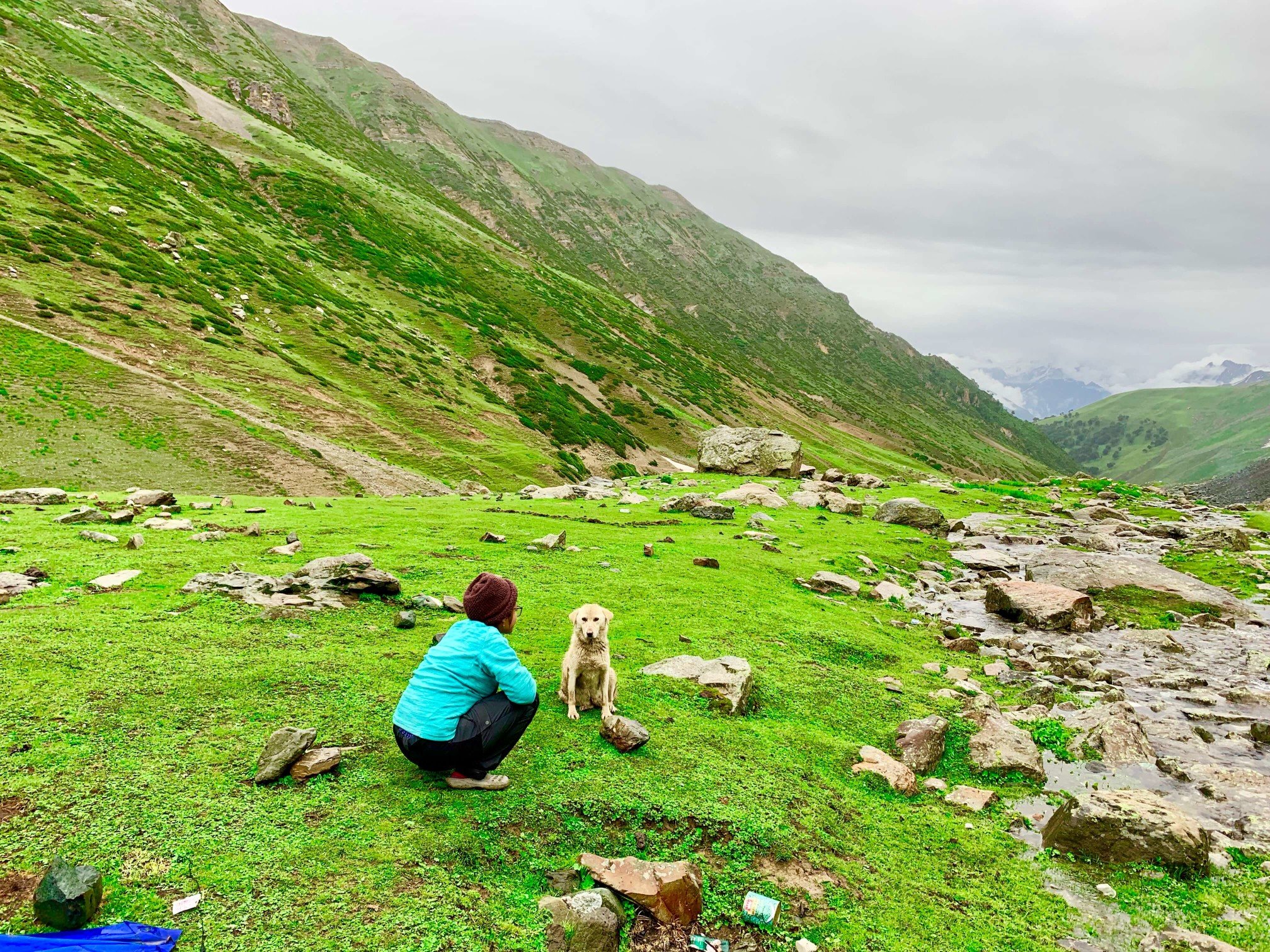 印度 India 喀什米爾 Kashmir 北北印 North India 八天七夜健行 大自然 dog 印度 India 喀什米爾 Kashmir 北北印 North India 八天七夜健行 大自然 dog