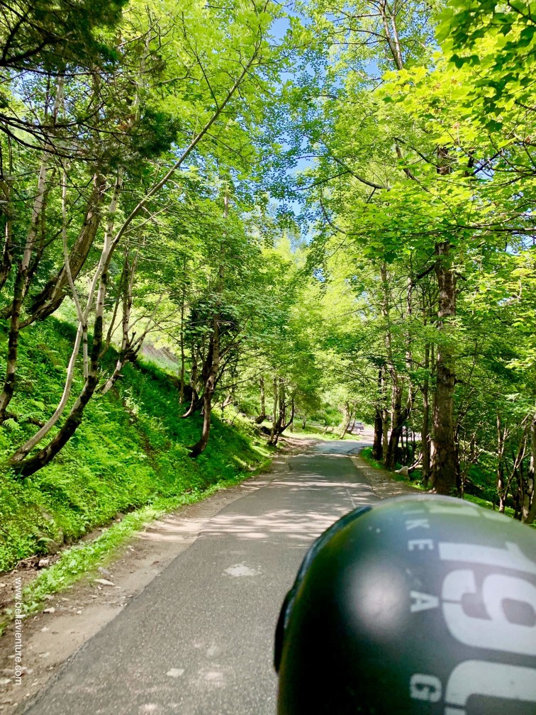 印度 India 北印度North india 馬納利 Manali 喜馬拉雅 Himalayas 斯碧提山谷 Spiti valley 公路旅行 road trip 印度 India 北印度North india 馬納利 Manali 喜馬拉雅 Himalayas 斯碧提山谷 Spiti valley 公路旅行 road trip