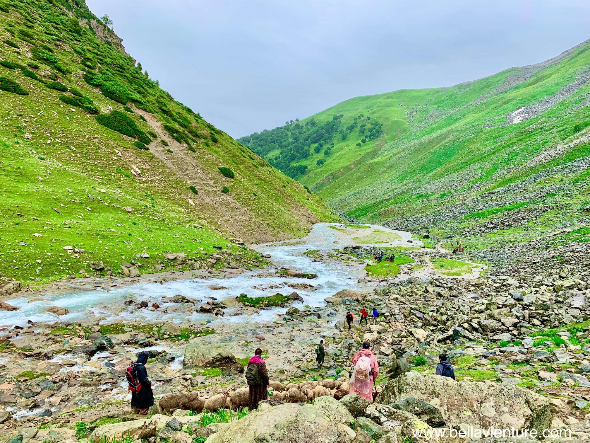 印度 India 喀什米爾 Kashmir 北北印 North India 八天七夜健行 大自然 美景 印度 India 喀什米爾 Kashmir 北北印 North India 八天七夜健行 大自然 美景