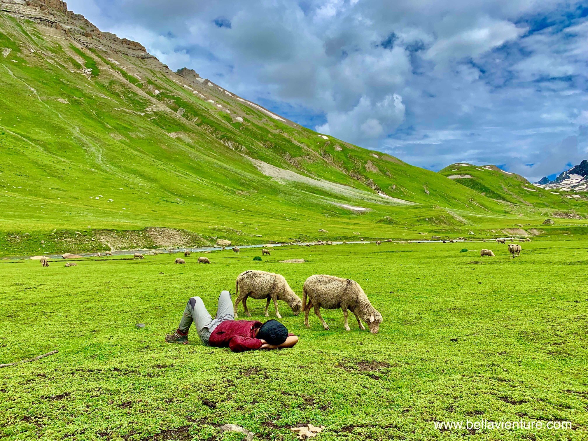 印度 India 北北印 North India 喀什米爾 Kashmir 八天七夜 羊群與午睡的印度團員 印度 India 北北印 North India 喀什米爾 Kashmir 八天七夜 羊群與午睡的印度團員