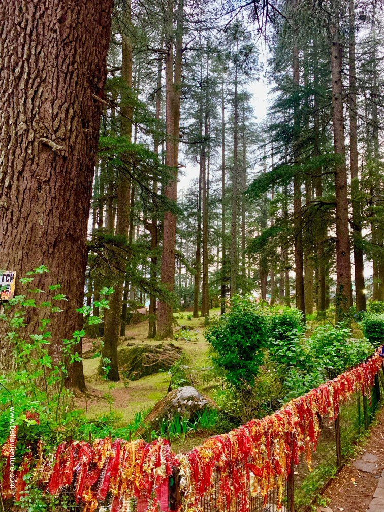 印度 India 馬納利 Manali 喜馬拉雅山 Mountain himalaya 舊馬納利 Old Manali 哈丁巴寺 Hadimba Temple 印度 India 馬納利 Manali 喜馬拉雅山 Mountain himalaya 舊馬納利 Old Manali 哈丁巴寺 Hadimba Temple