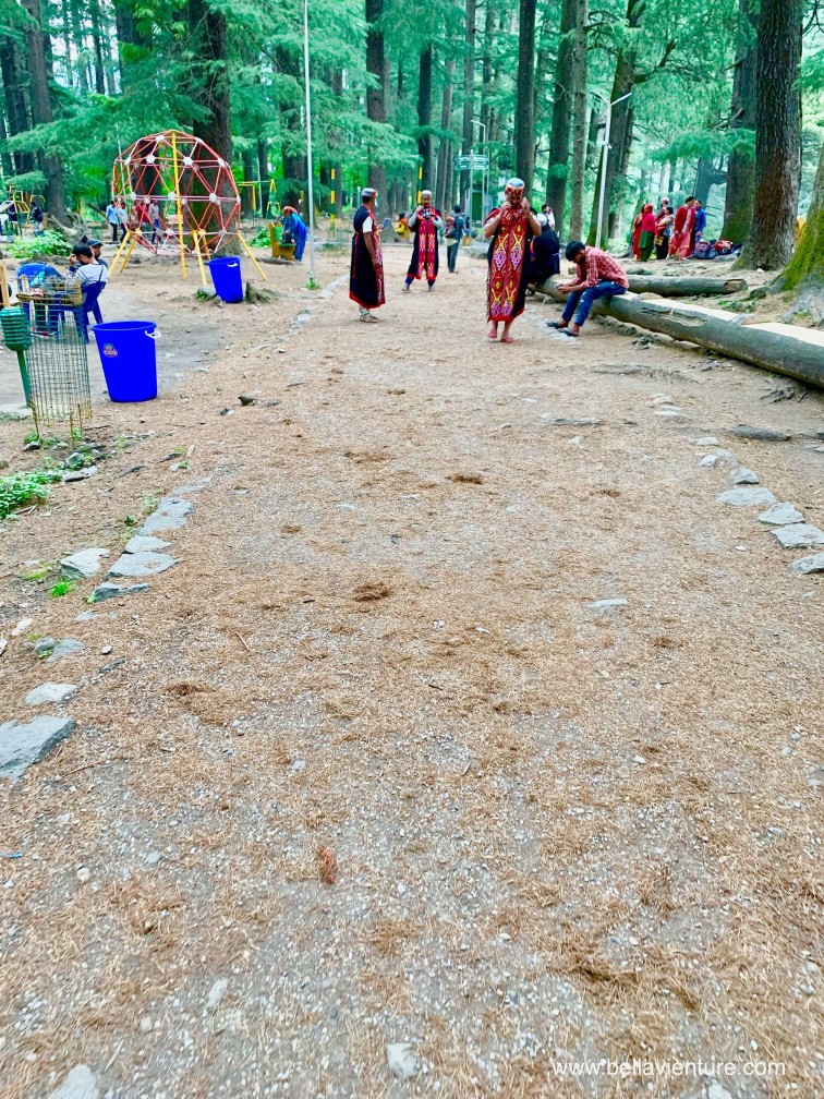 印度 India 馬納利 Manali 喜馬拉雅山 Mountain himalaya 舊馬納利 Old Manali Hidimba Temple 馬納利大自然公園 Manali Nature park 印度 India 馬納利 Manali 喜馬拉雅山 Mountain himalaya 舊馬納利 Old Manali Hidimba Temple 馬納利大自然公園 Manali Nature park