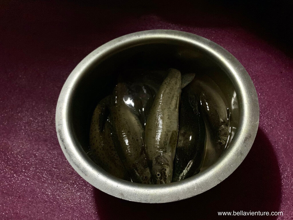 印度India 北北印 North India 喀什米爾 Kashmir 大湖健行 trekking 鱒魚 印度India 北北印 North India 喀什米爾 Kashmir 大湖健行 trekking 鱒魚
