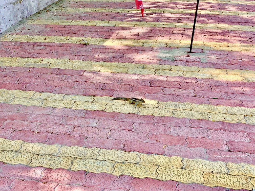 印度 india 阿格拉 Agra 月光花園 Mehtab Bagh 印度 india 阿格拉 Agra 月光花園 Mehtab Bagh