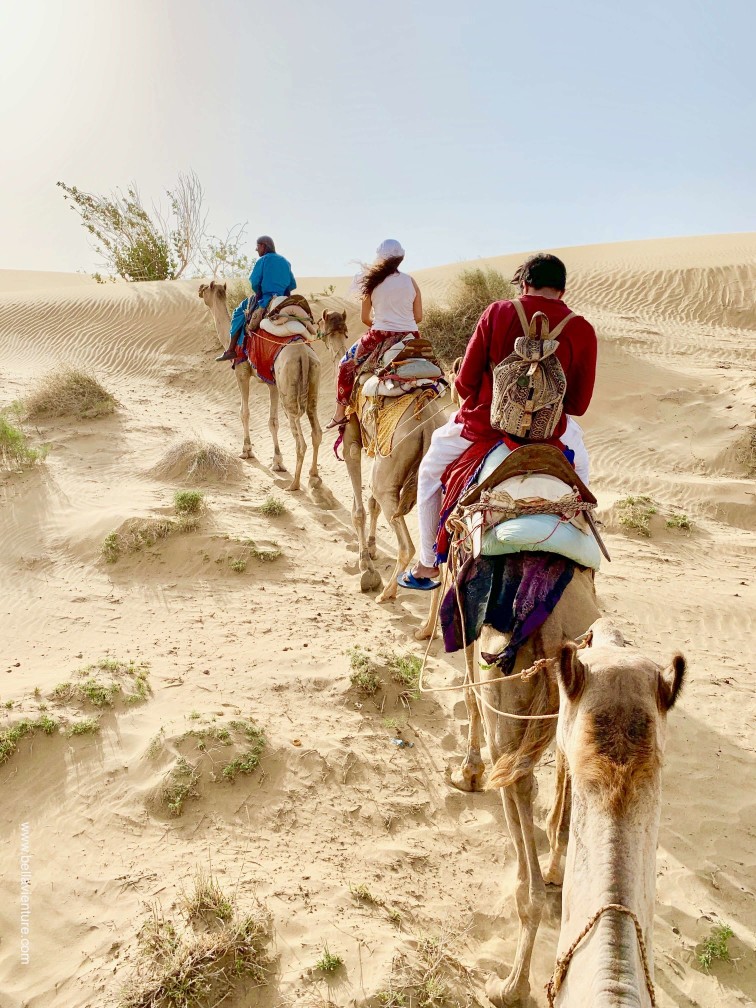 印度 india 賈莎梅爾 jaisalmer 沙漠 desert 駱駝 camel safari 印度 india 賈莎梅爾 jaisalmer 沙漠 desert 駱駝 camel safari