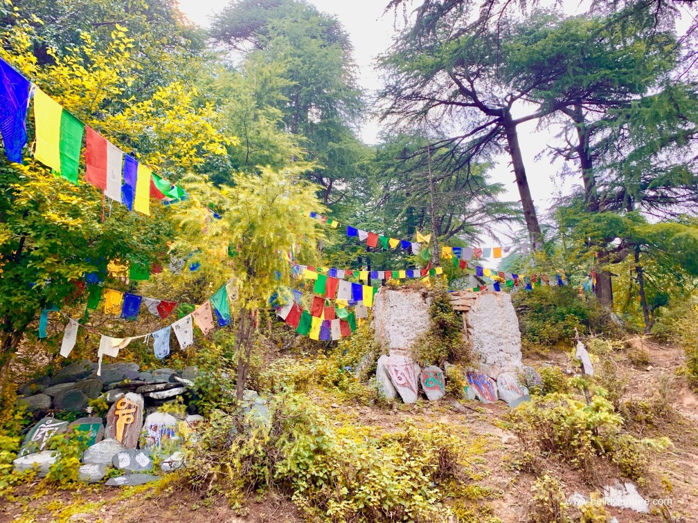 印度india 達蘭薩拉 dharamshala exploing探險 印度india 達蘭薩拉 dharamshala exploing探險
