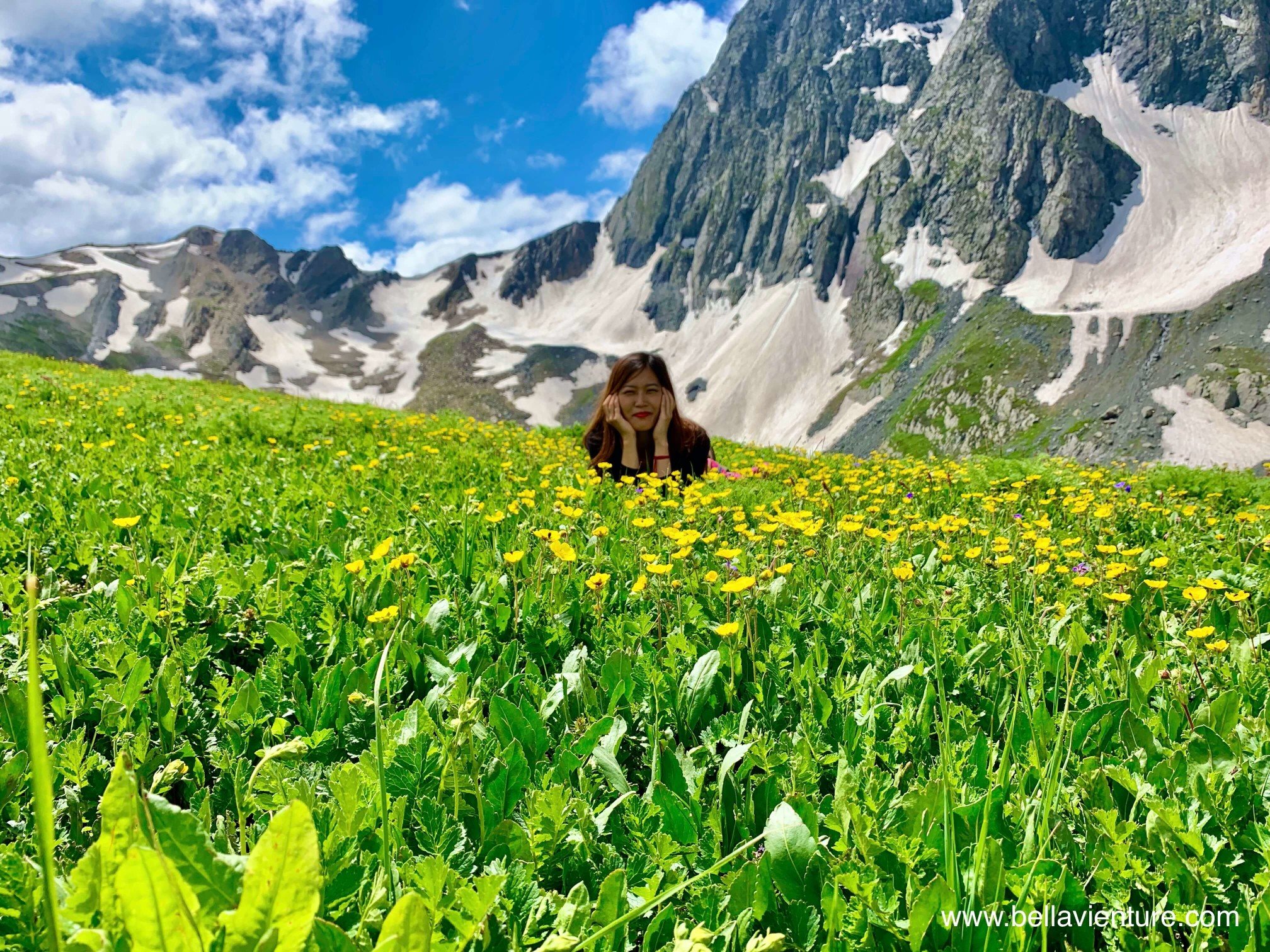 印度India 北北印 North India 喀什米爾 Kashmir 大湖健行 trekking 黃花 印度India 北北印 North India 喀什米爾 Kashmir 大湖健行 trekking 黃花