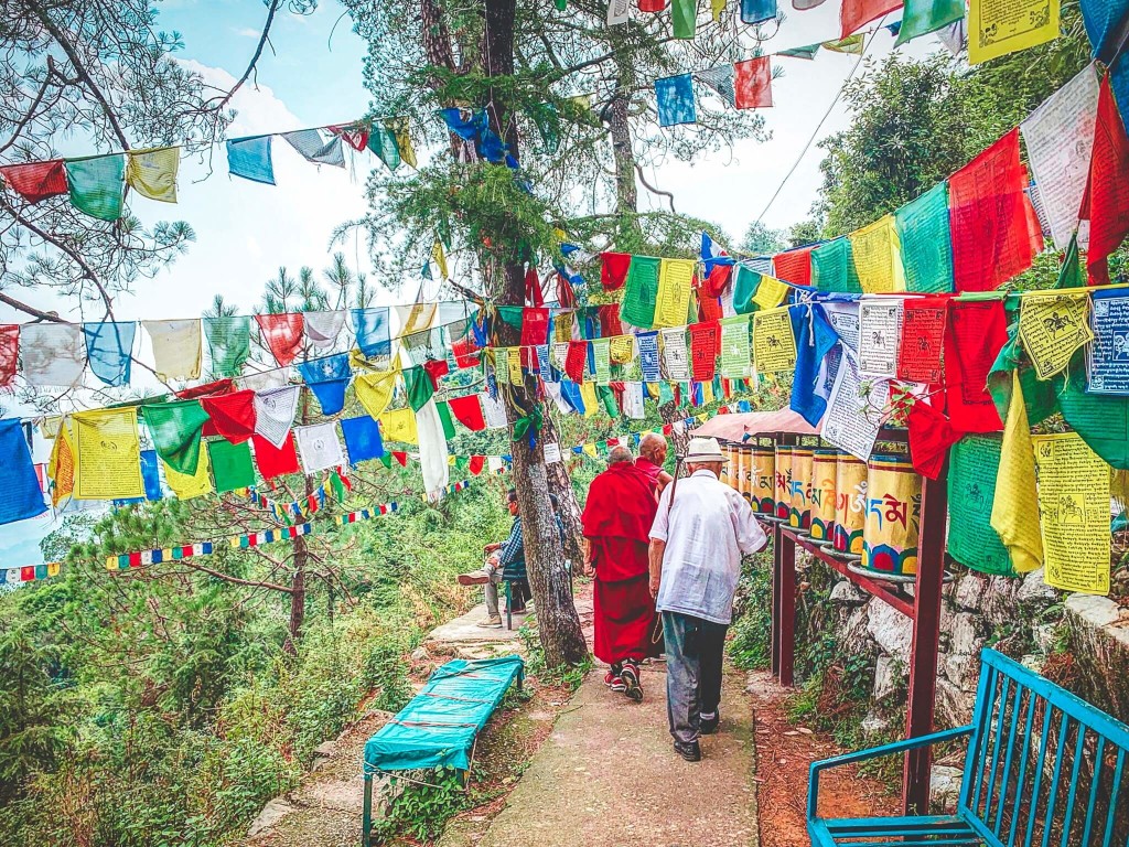 印度india 達蘭薩拉 dharamshala exploing探險 印度india 達蘭薩拉 dharamshala exploing探險